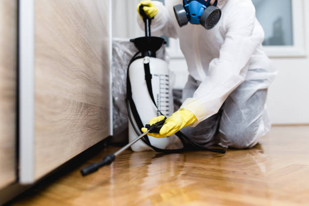 Best Wildlife Control Services  in Gastonville, PA