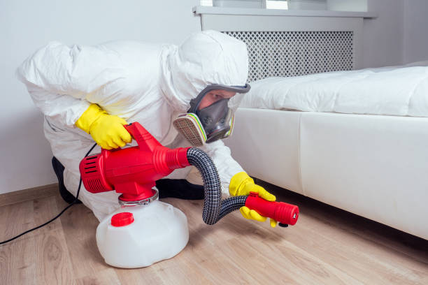 Best Flea Control Services  in Gastonville, PA