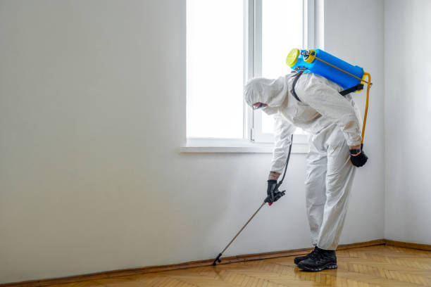 Best Affordable Pest Control Services  in Gastonville, PA