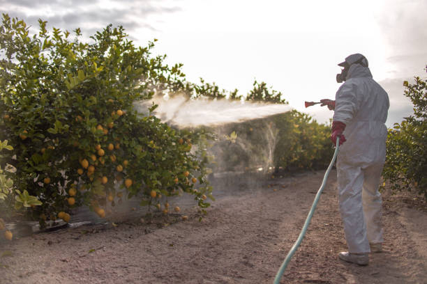 Best Mosquito Control Services  in Gastonville, PA