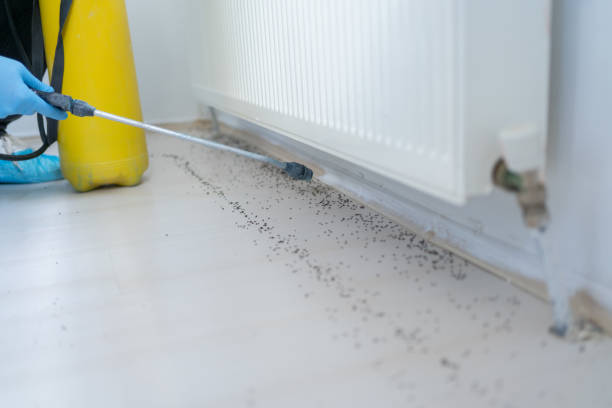 Trusted Gastonville, PA Pest Control Experts